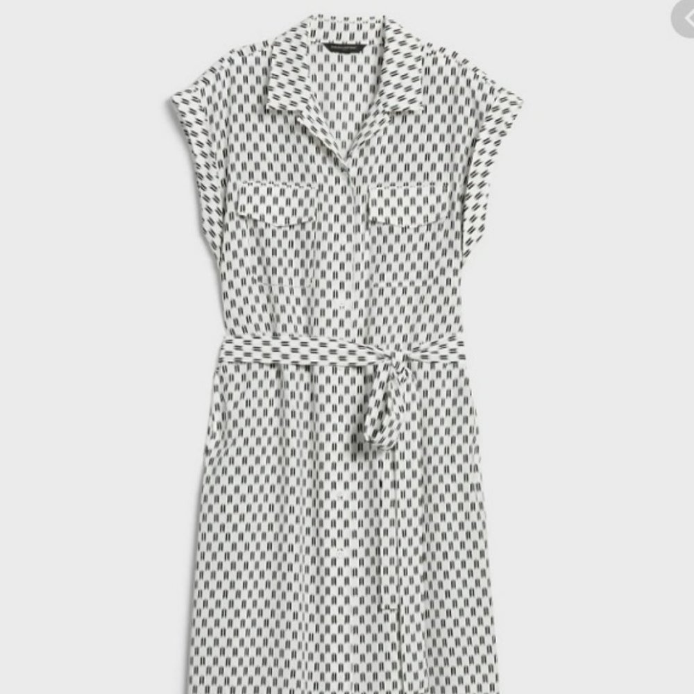 Banana Republic Factory belted shirt dress (14)